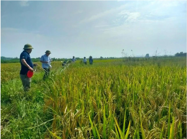 đất nông nghiệp